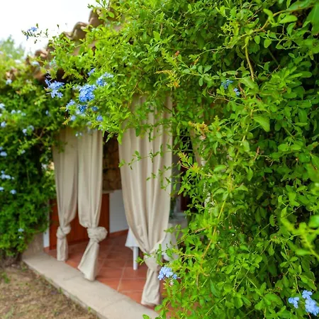 Tanca De Mar * Maracalagonis