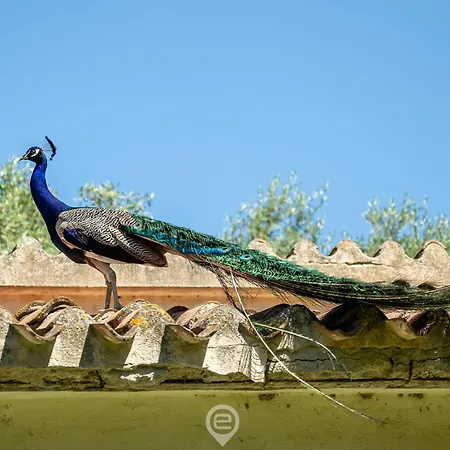 아파트 Tanca De Mar *