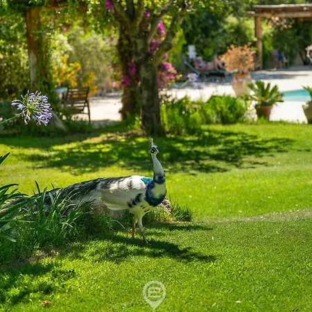 Tanca De Mar
