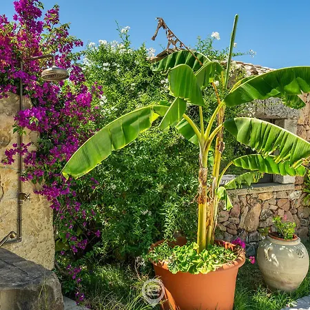 Tanca De Mar Maracalagonis