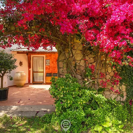 Tanca De Mar Appartement